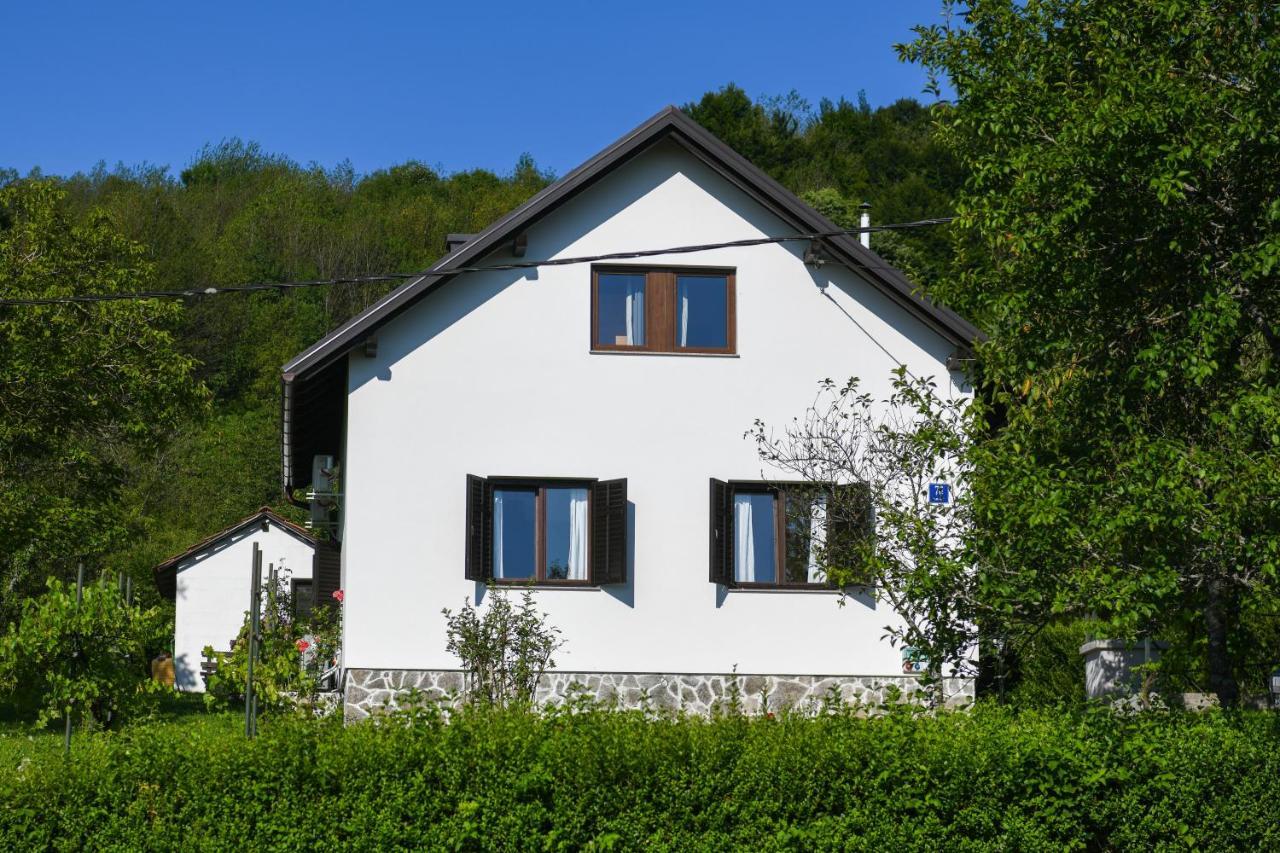 Wildernest Holiday Home Раковица Екстериор снимка