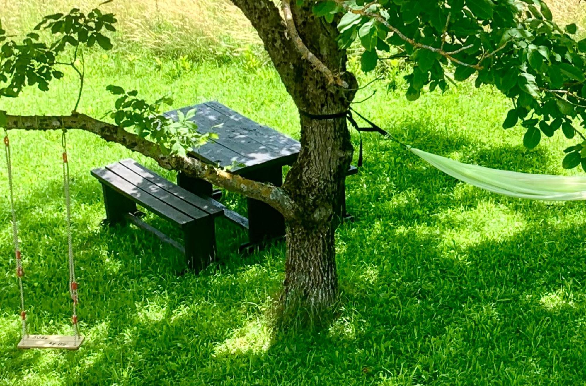 Wildernest Holiday Home Раковица Екстериор снимка